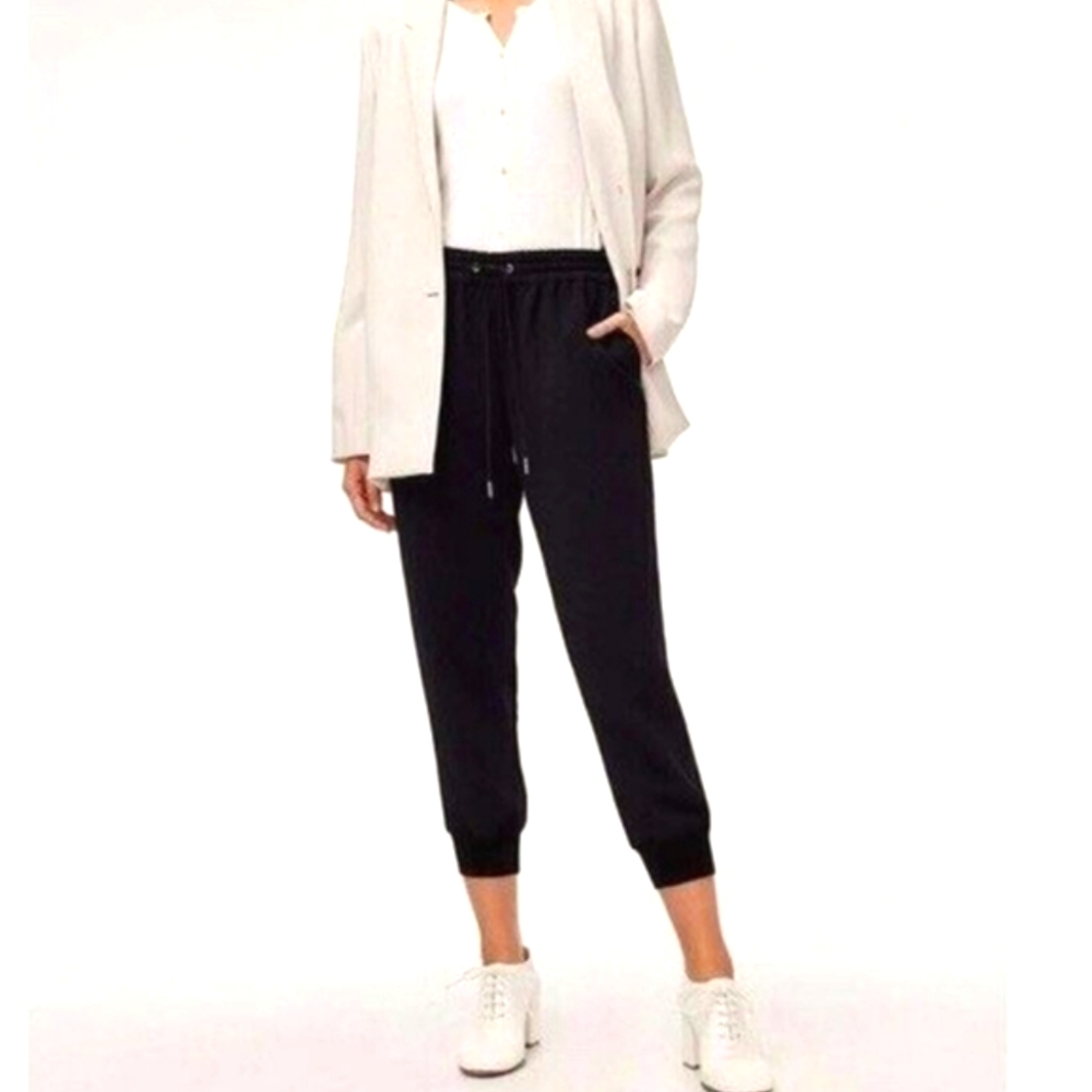 Aritzia Wilfred Joggers